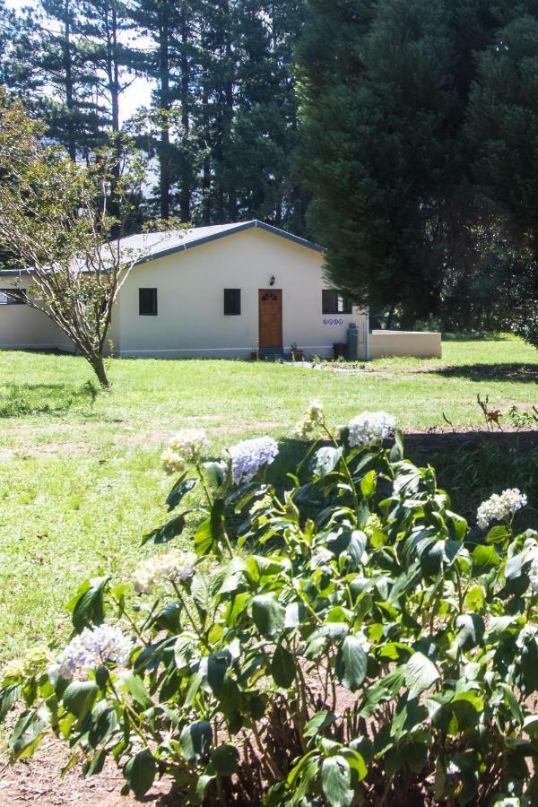 Kamberg Valley Hideaway Rev Estates Exterior foto